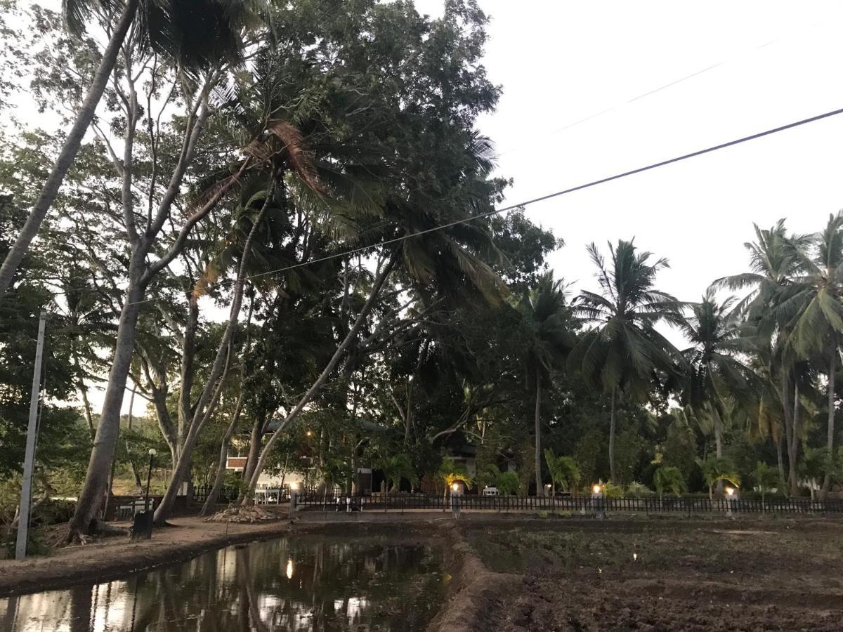 Sethway Village Minneriya Ngoại thất bức ảnh